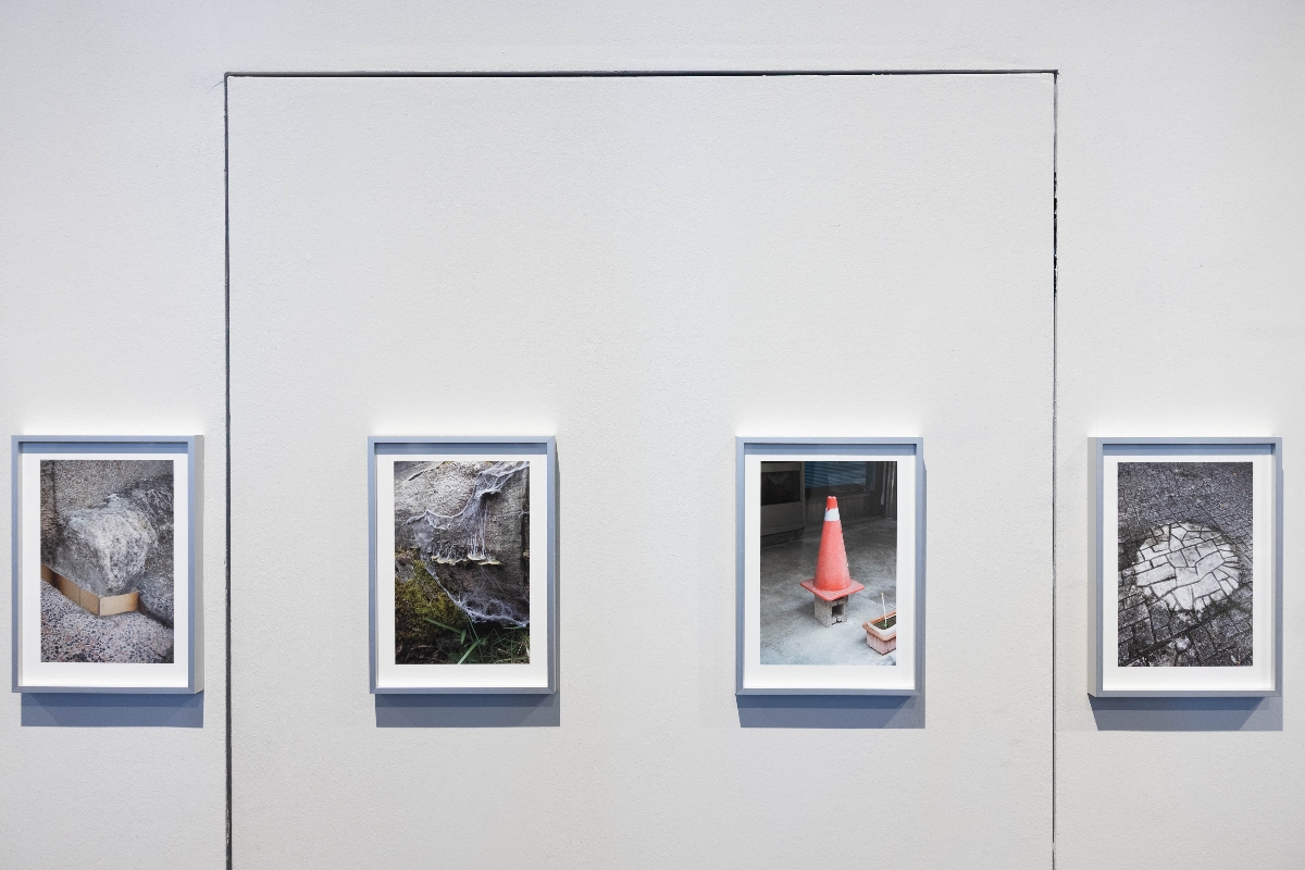 2026025-pk-the-material-show-the-roots-of-small-fires-c-mq-esel--117